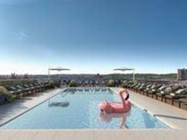 1 bedroom, BROOKLYN NY 11226 106010567
