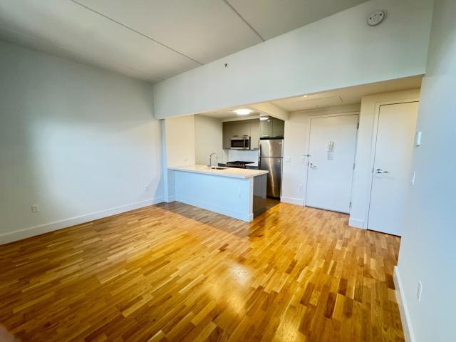 1 bedroom, BROOKLYN NY 11226 84231858