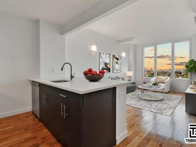 1 bedroom, BROOKLYN NY 11233 LS105766619