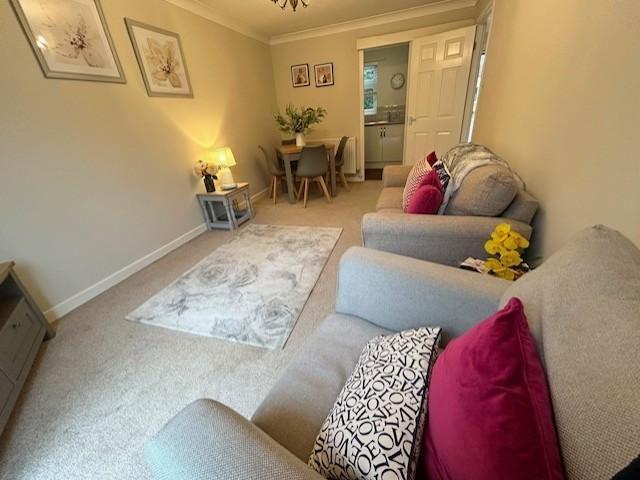 1 bedroom bungalow to rent