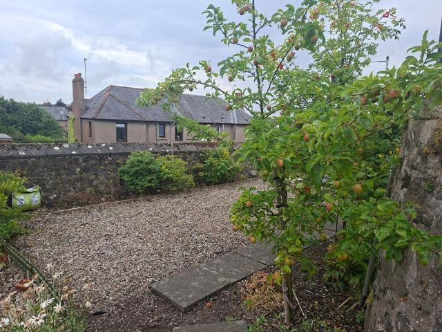 1 bedroom bungalow to rent