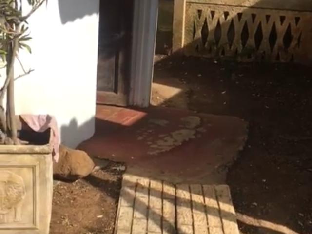 1 Bedroom Garden Cottage To Let in Melmoth