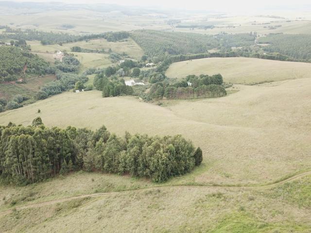 1 Bedroom Garden Cottage To Let in Dargle