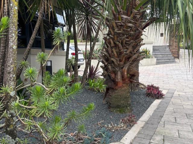 1 Bedroom Garden Cottage To Let in Kloof