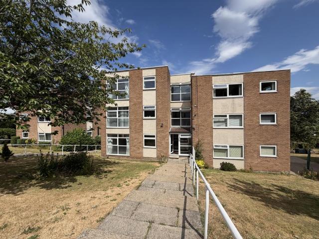 1 bedroom ground flat to rent