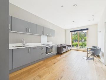 1 bedroom ground flat to rent