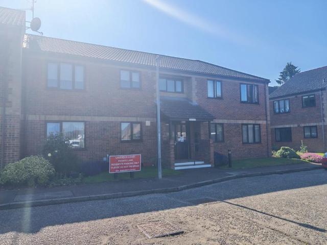 1 bedroom ground flat to rent