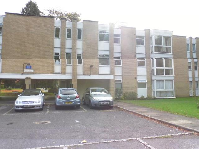 1 bedroom ground flat to rent