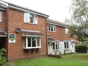 1 bedroom ground flat to rent