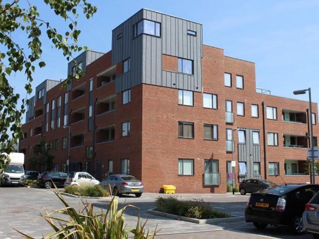 1 bedroom ground flat to rent