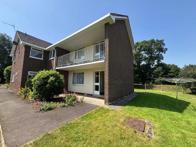 1 bedroom ground flat to rent