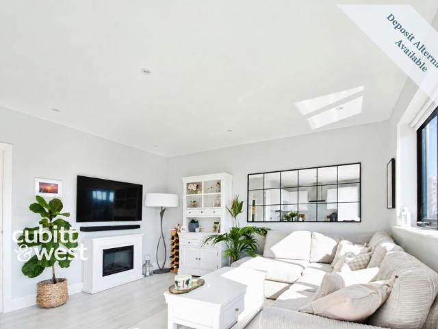 1 bedroom ground flat to rent