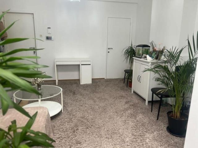 1 bedroom ground floor apartment for rent 2018 Antwerp