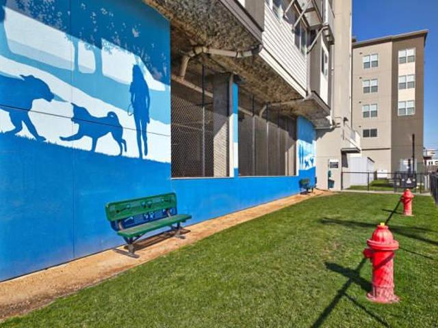 1 bedroom, Dallas TX 75206 105220476