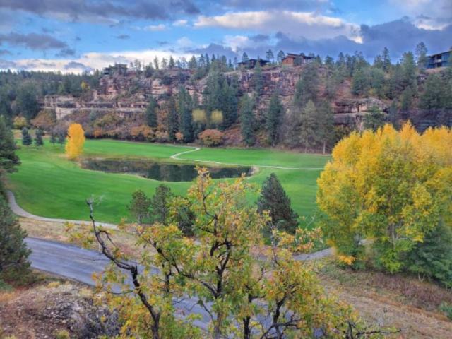 1 bedroom, Durango CO 81301 LS104855990