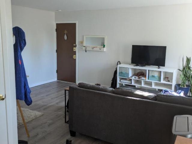 1 bedroom, Forest Park IL 60130 105779251