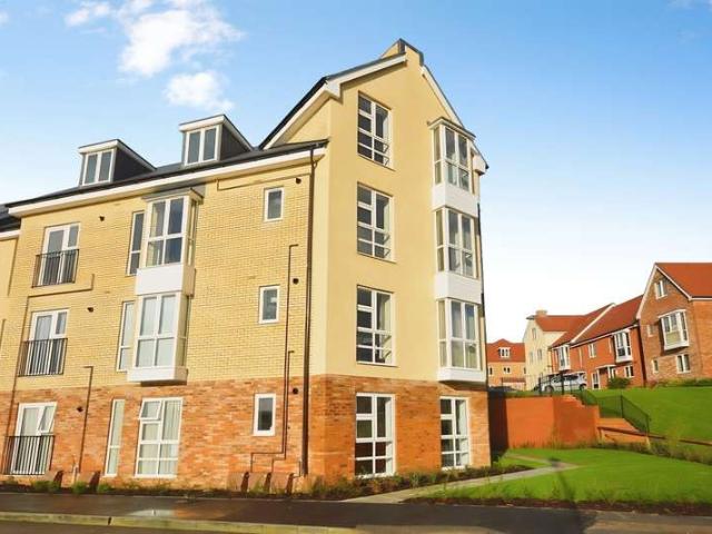 1 Bedroom Flat