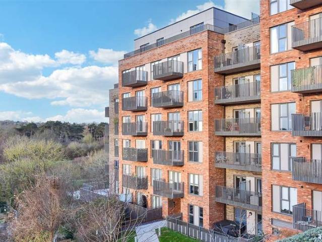 1 Bedroom Flat