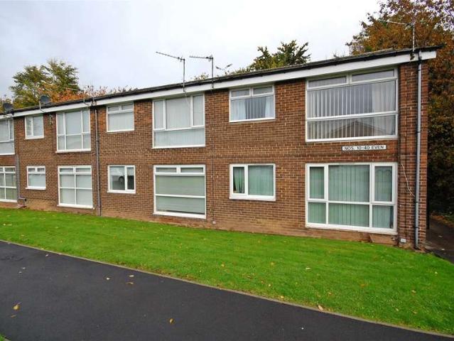 1 Bedroom Flat