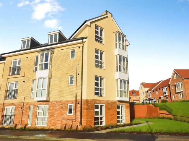 1 Bedroom Flat