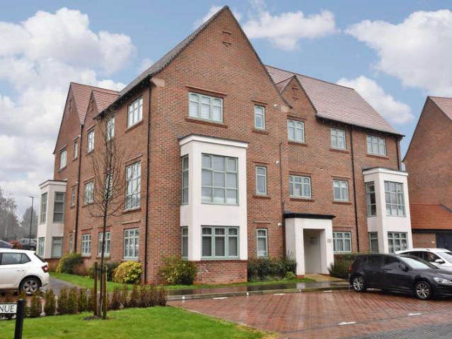 1 Bedroom Flat