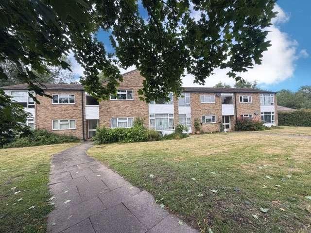 1 Bedroom Flat