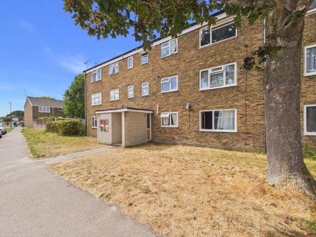 1 Bedroom Flat