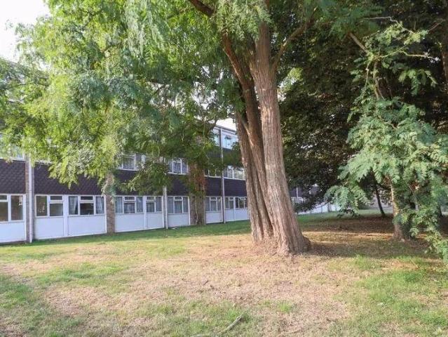 1 bedroom Flat To Let