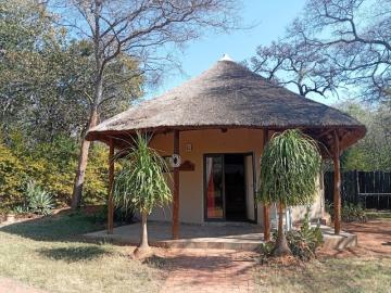1 Bedroom Flat To Let in Bela Bela