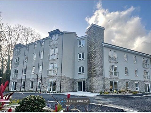 1 Bedroom Flat To Rent In Bronwydd Road, Carmarthen, SA31