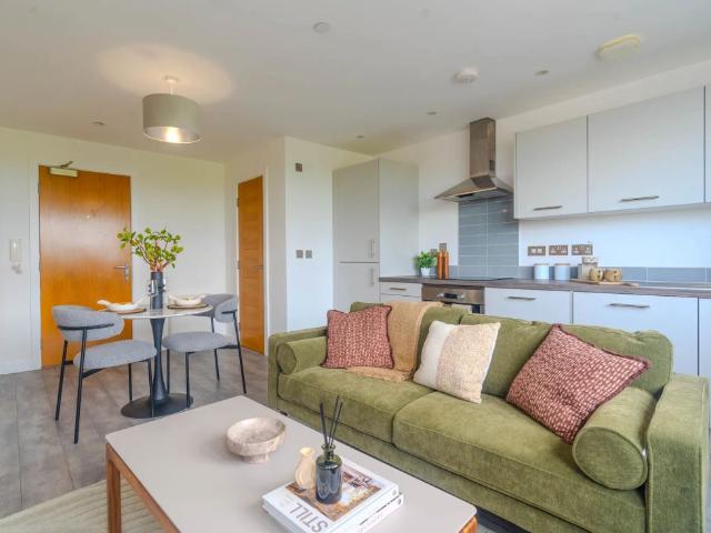 1 bedroom flat to rent