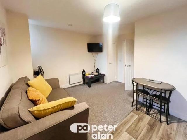 1 bedroom flat to rent