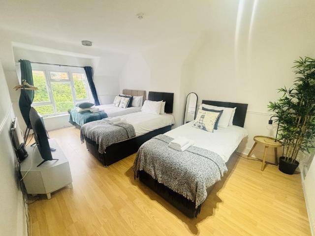 1 bedroom flat to rent