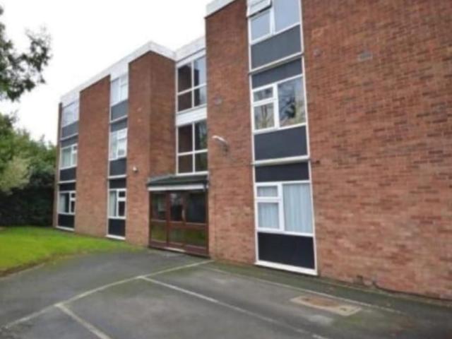 1 bedroom flat to rent