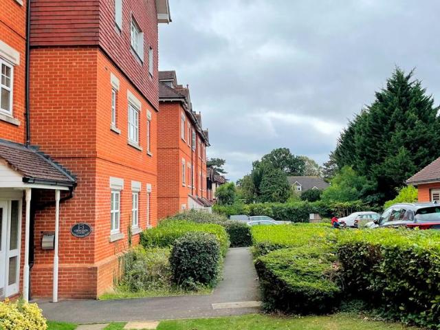 1 bedroom flat to rent