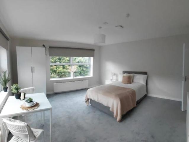 1 bedroom flat to rent