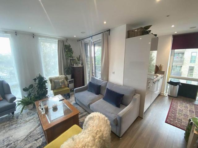 1 bedroom flat to rent