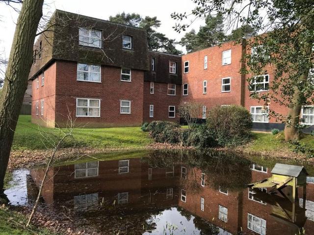 1 bedroom flat to rent