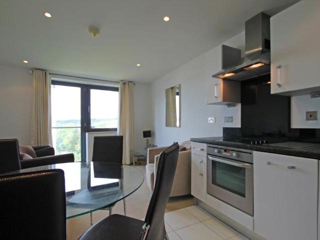 1 bedroom flat to rent