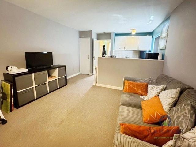 1 bedroom flat to rent