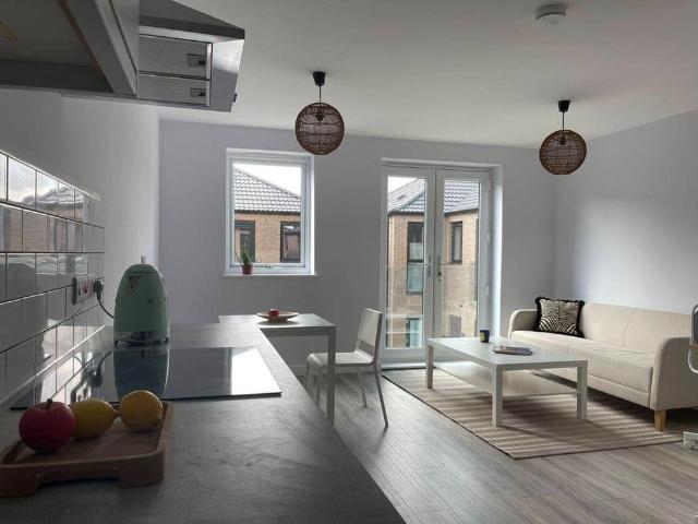 1 bedroom flat to rent
