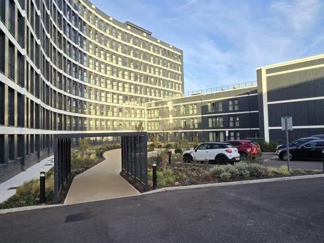 1 bedroom flat to rent