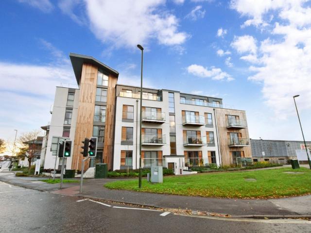 1 bedroom flat to rent