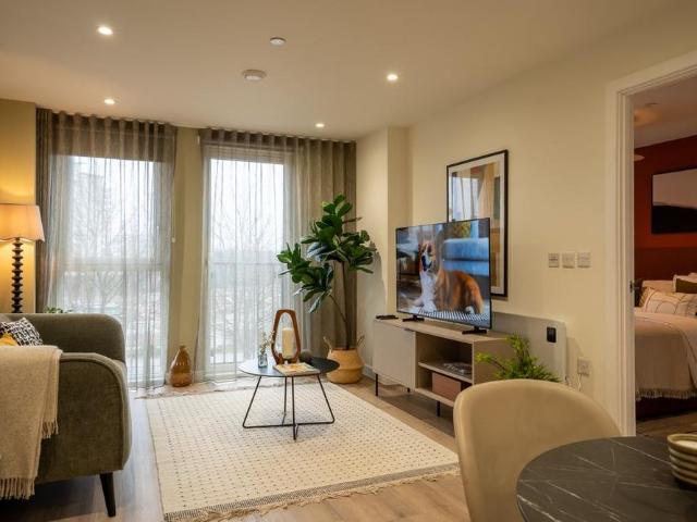 1 bedroom flat to rent