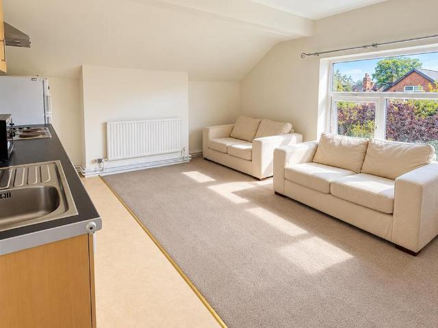 1 bedroom flat to rent