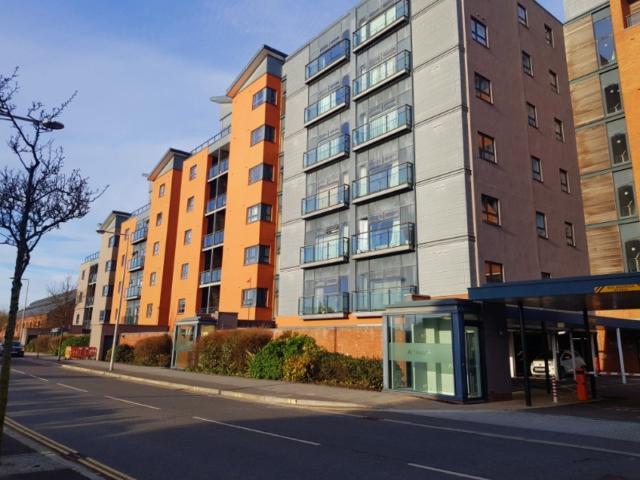 1 bedroom flat to rent