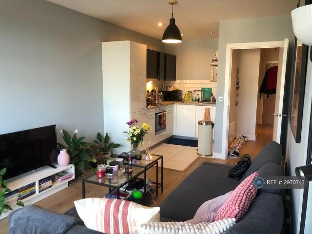 1 bedroom flat to rent
