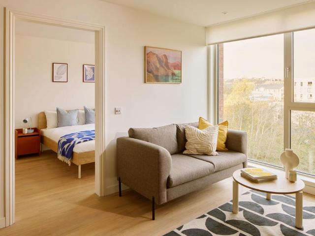 1 bedroom flat to rent