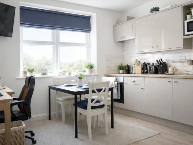 1 bedroom flat to rent