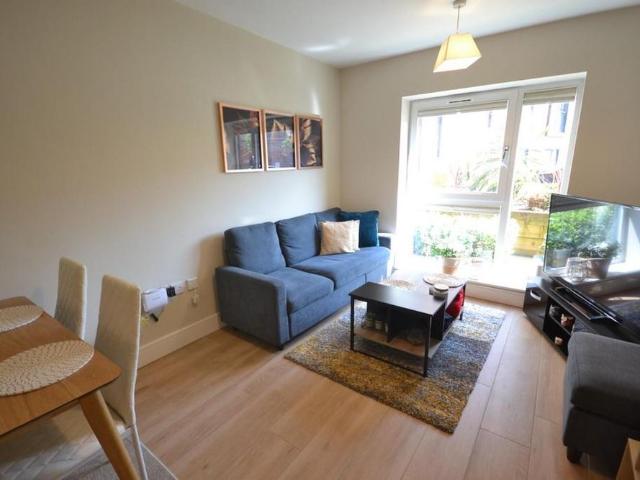 1 bedroom flat to rent